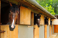 free Dolphinton stable construction quotes